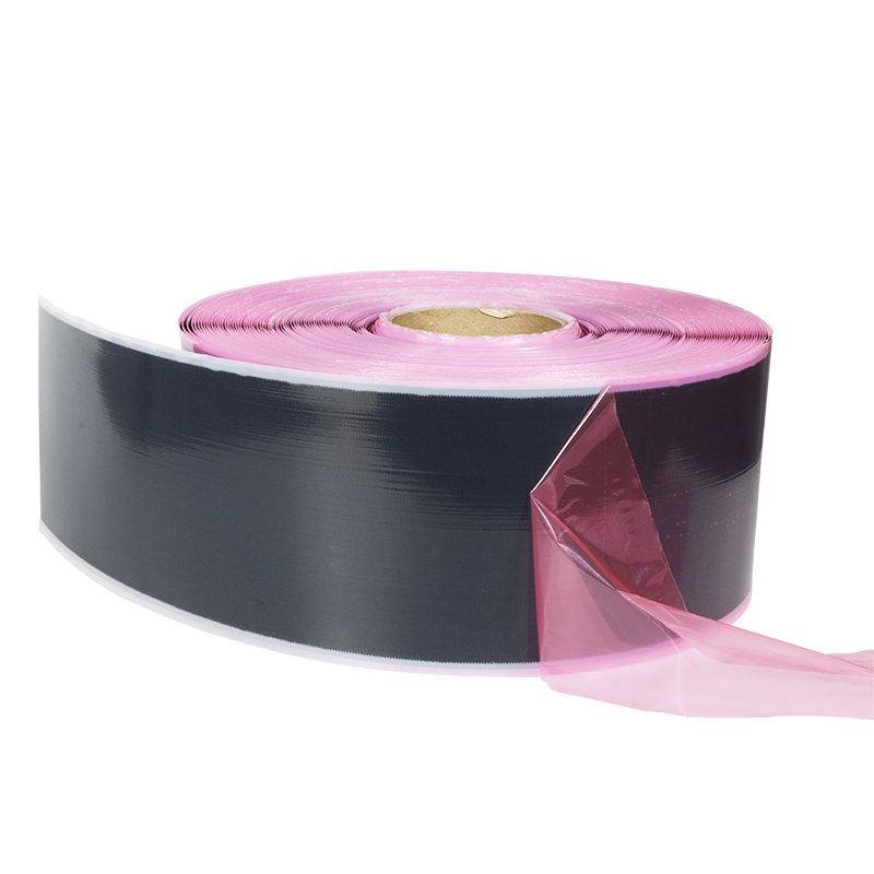 色情无码WWW视频无码区小黄鸭